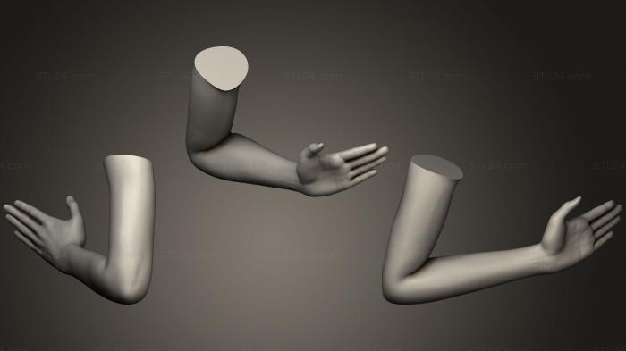 Anatomy of skeletons and skulls (Female Arm Pose 16, ANTM_0426) 3D models for cnc